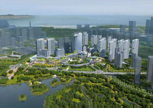 厦门地铁tod模式 自此革新五缘湾
