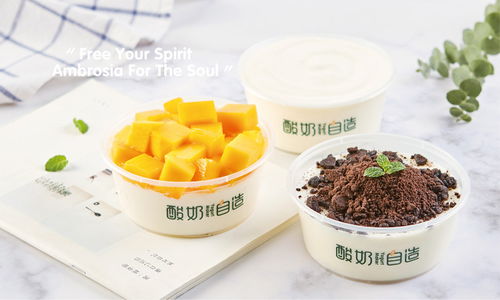 酸奶自造厦门饮品品牌设计