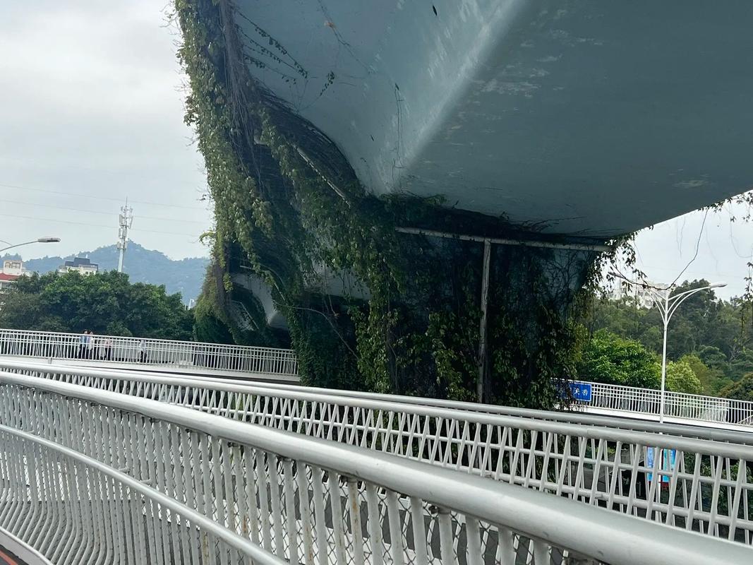 厦门 创新交通与设计的城市典范